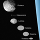 The seven inner moons of Neptune, with Neptune at far right.